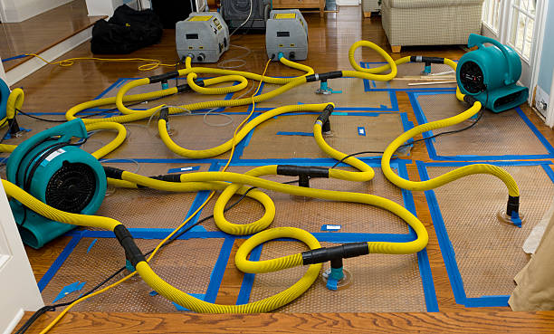 Professional Sewage Cleanup technician working in Oacoma, SD